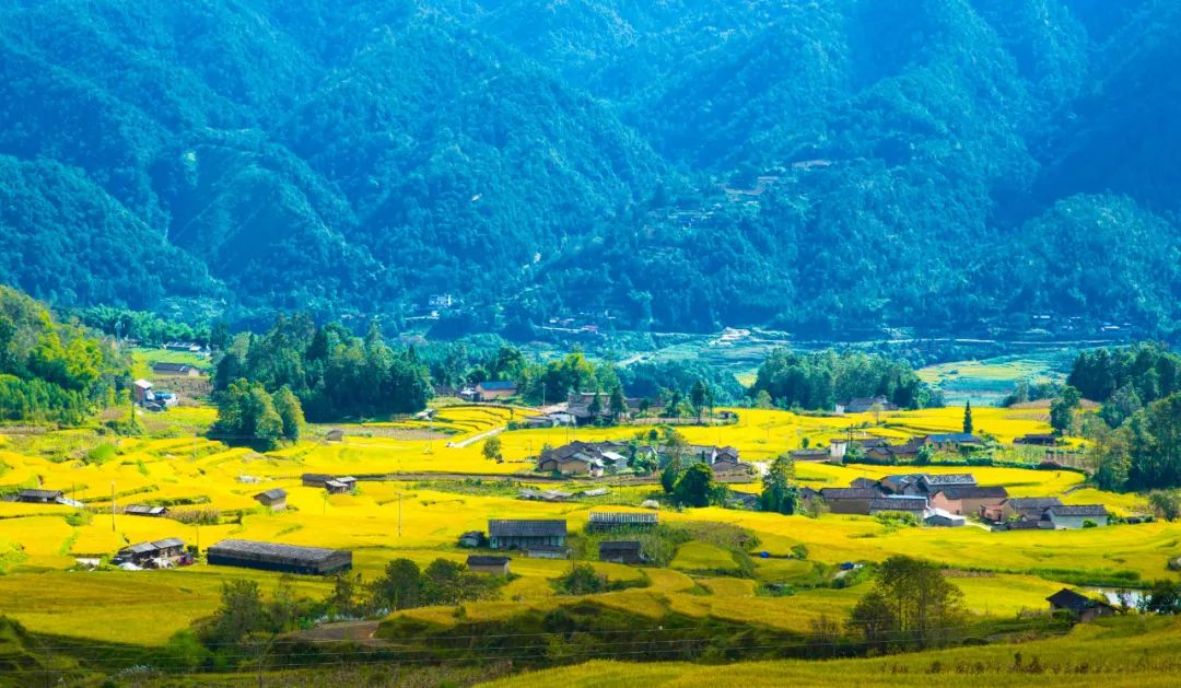 騰沖旅行社：騰沖旅游推薦,騰沖鄉鎮花樣游，陡山日出候君來，芒棒美景伴君行